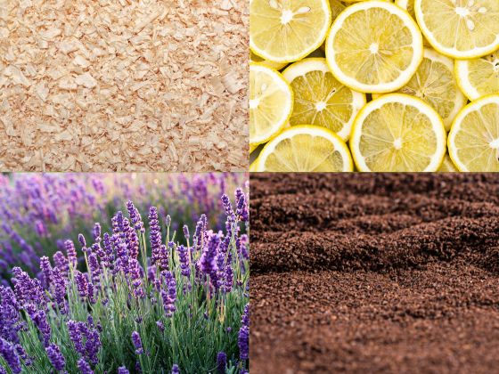 Finger weg von Biotonnenstreu! Natürliche Mittelchen sind ausreichend