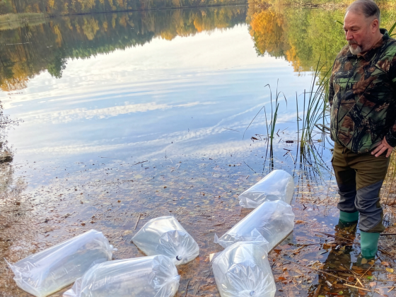BEBG unterstützt Angelverein in Marienwerder / Ruhlsdorf mit Zanderbesatz