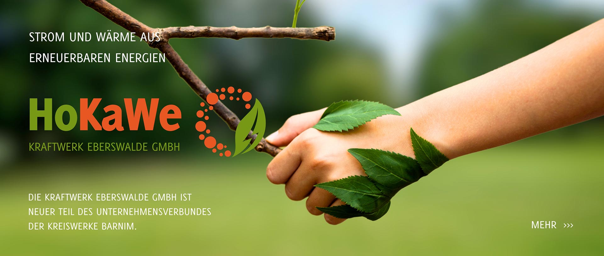 Eine Hand hält einen Ast fest und die Blätter erwiedern seinen Händedruck.